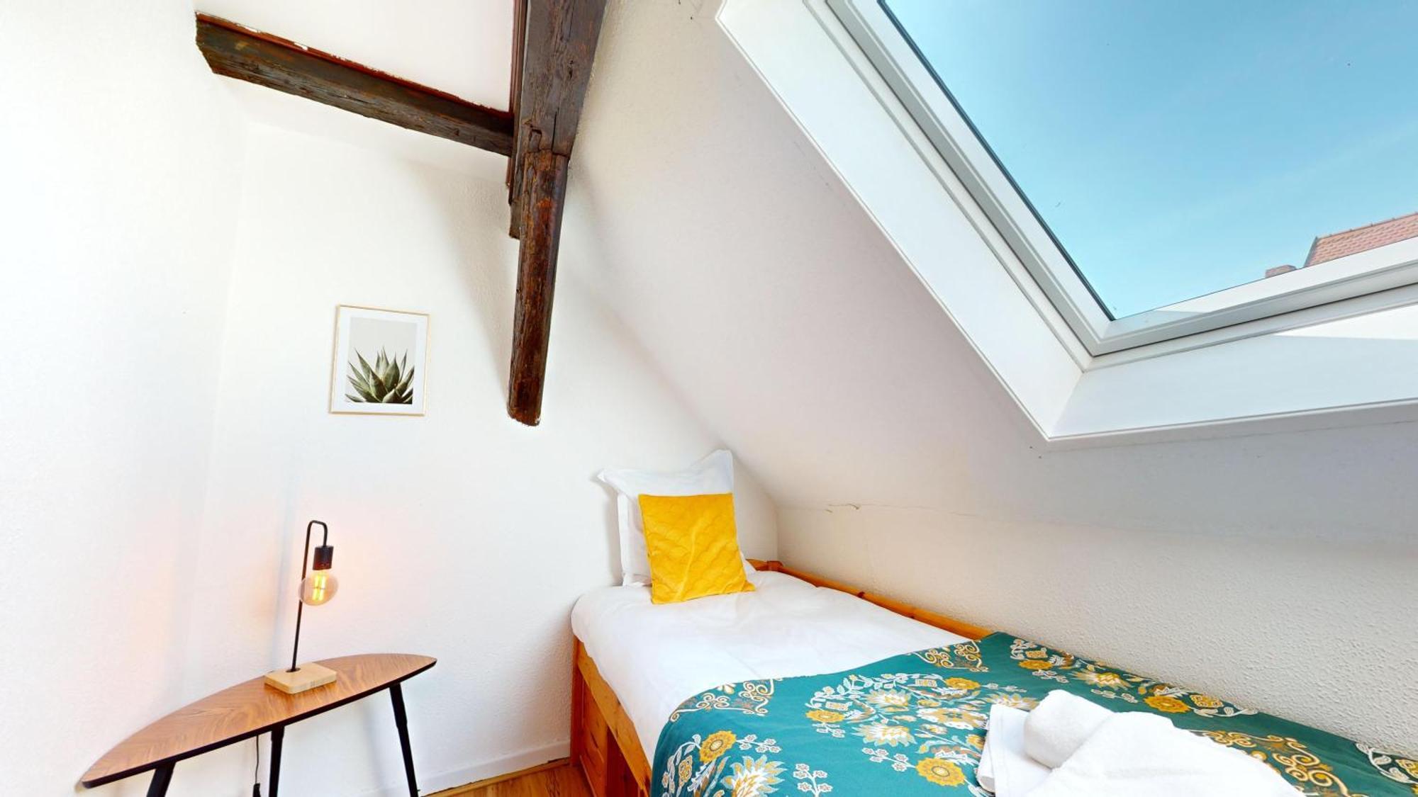 Appartement Le Petit Chez Vous à Colmar Extérieur photo